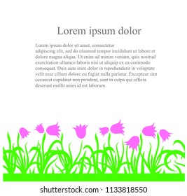 Seamless green grass, pink flowers pattern from below, black Lorem Ipsum on white background, design element stock vector illustration for web, for print 