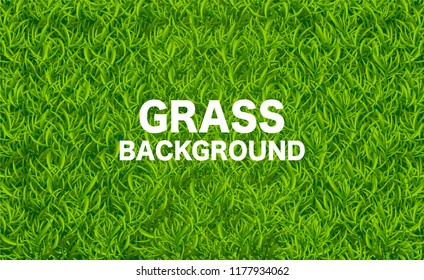 Seamless green nature lawn grass texture and pattern Vector illustration
