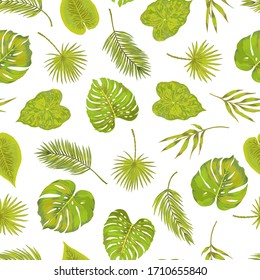 Seamless green philodendron fern bamboo leaf areca palm vector pattern. Natural simple background on white. Hand drawn leaves tropical pattern.