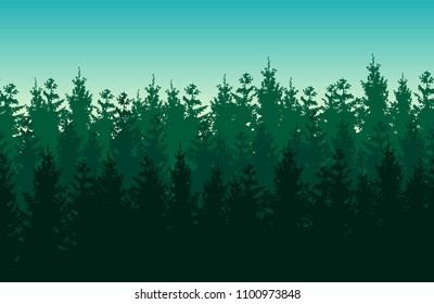 Seamless green vector forest landscape with coniferous trees.