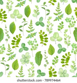 Patrón de verdor sin soldadura con hojas y ramas verdes, ilustración floral vectorial sobre fondo blanco.
