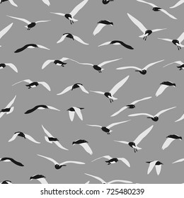 Seamless of gull on grey background.