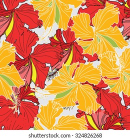 Seamless hand draw hibiscus pattern. Colorful vector