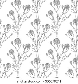 Seamless  hand draw pattern with cornflowers. Suitable for paper, wallpaper, textile. Herbal vintage background. 