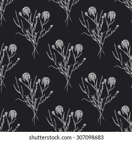 Seamless  hand draw pattern with herbs and wildflowers. Suitable for paper, wallpaper, textile. Herbal vintage background. 