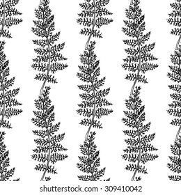 Seamless  hand draw pattern with herbs. Suitable for paper, wallpaper, textile. Herbal vintage background. 