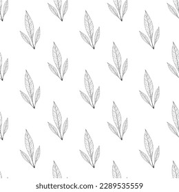 seamless hand draw vector botanical elements pattern