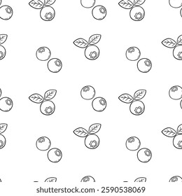 Seamless Hand Drawn Blueberries With Leaves Design Pattern Line Art White BG