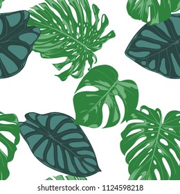 Seamless Hand Drawn Botanical Exotic Pattern with Philodendron and Alocasia Leaves. Vector Jungle Foliage in Watercolor Style. Seamless Tropic Leaf Background for Textile, Cloth, Fabric, Paper.