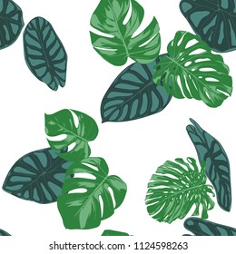 Split Leaves Palm Banana Tropic Forest Stock Illustration 424244107