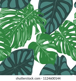 Seamless Hand Drawn Botanical Exotic Pattern with Philodendron and Alocasia Leaves. Vector Jungle Foliage in Watercolor Style. Seamless Tropic Leaf Background for Textile, Cloth, Fabric, Paper.