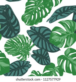 Seamless Hand Drawn Botanical Exotic Pattern with Philodendron and Alocasia Leaves. Vector Jungle Foliage in Watercolor Style. Seamless Tropic Leaf Background for Textile, Cloth, Fabric, Paper.