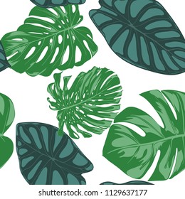 Seamless Hand Drawn Botanical Exotic Pattern with Philodendron and Alocasia Leaves. Vector Jungle Foliage in Watercolor Style. Seamless Tropic Leaf Background for Textile, Cloth, Fabric, Paper.