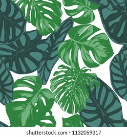 Seamless Hand Drawn Botanical Exotic Pattern with Philodendron and Alocasia Leaves. Vector Jungle Foliage in Watercolor Style. Seamless Tropic Leaf Background for Textile, Cloth, Fabric, Paper.