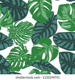 Seamless Hand Drawn Botanical Exotic Pattern with Philodendron and Alocasia Leaves. Vector Jungle Foliage in Watercolor Style. Seamless Tropic Leaf Background for Textile, Cloth, Fabric, Paper.