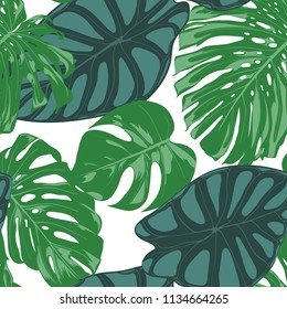 Seamless Hand Drawn Botanical Exotic Pattern with Philodendron and Alocasia Leaves. Vector Jungle Foliage in Watercolor Style. Seamless Tropic Leaf Background for Textile, Cloth, Fabric, Paper.
