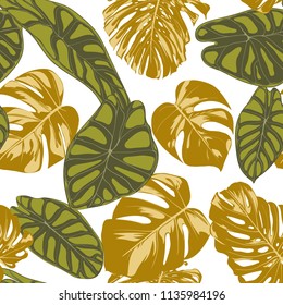 Seamless Hand Drawn Botanical Exotic Pattern with Philodendron and Alocasia Leaves. Vector Jungle Foliage in Watercolor Style. Seamless Tropic Leaf Background for Textile, Cloth, Fabric, Paper.