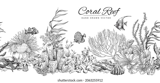 Seamless hand drawn coral reef banner in engraved sketch style - vector illustration. Monochrome marine banner with copy space for text, fish and seaweed.