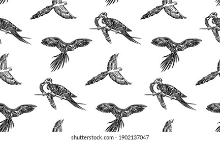 Seamless hand drawn corella parrot outline sketch pattern. Endless vector black ink tropical bird drawing isolated on white background. Stylzed graphic wild animal illustration.