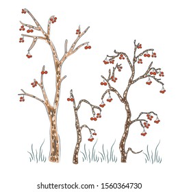 Seamless Hand Drawn Design with Trees. Bright Scandinavian Style. Vector Illustration