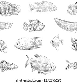 Seamless hand drawn fish pattern backgrounds. Marine theme wallpaper. Vector illustration.