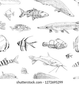 Seamless hand drawn fish pattern backgrounds. Marine theme wallpaper. Vector illustration.