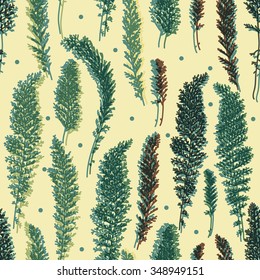 Seamless hand drawn floral pattern.  Botanical background