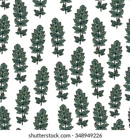 Seamless hand drawn floral pattern.  Botanical background