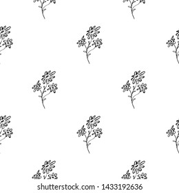 Seamless hand drawn pattern of abstract daisies flowers isolated on white background. Vector floral illustration. Cute doodle modern isolated pop art elements. Outline.