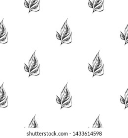 Seamless hand drawn pattern of abstract bay leaves isolated on white background. Vector floral illustration. Cute doodle modern isolated pop art elements. Outline.