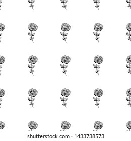 Seamless hand drawn pattern of abstract rose flowers isolated on white background. Vector floral illustration. Outline.