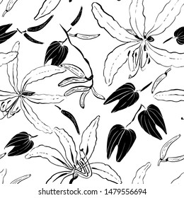 Seamless hand drawn pattern with Bauhinia flower, leaf and bud. Sketch ink drawing of orchid tree.