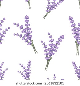 Seamless hand drawn pattern featuring lavender flowers against a white background