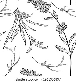 Seamless hand drawn pattern with lavender branches and flowers