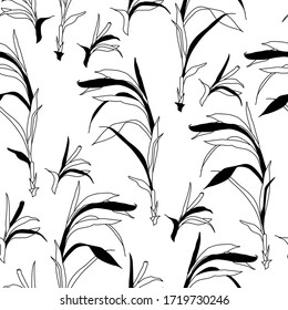 Seamless hand drawn pattern with line black bamboo on the white background. Vector. Isolated.