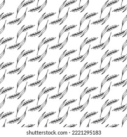 Seamless hand drawn pattern with  Monochrome wheat. Modern grunge texture.