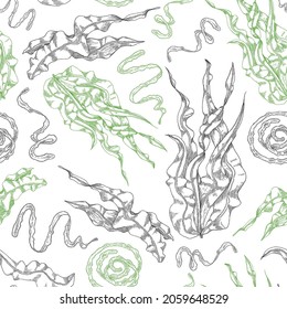 Seamless hand drawn pattern with spirulina, sketch vector illustration on white background. Endless repeatable texture for spirulina organic seaweed packs.