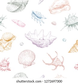 Seamless hand drawn seashells pattern backgrounds. Marine theme wallpaper. Vector illustration.