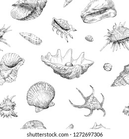 Seamless hand drawn seashells pattern backgrounds. Marine theme wallpaper. Vector illustration.
