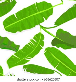 Seamless hand drawn tropical pattern with palm banana leaves, jungle exotic leaf on white background. Fashion textile print, summer floral wallpaper. Vector illustration, botanical drawing