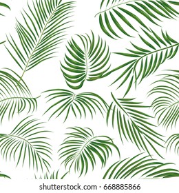 Seamless hand drawn tropical pattern with palm leaves, jungle exotic leaf on white background. Fashion textile print, summer floral wallpaper. Vector illustration, botanical drawing