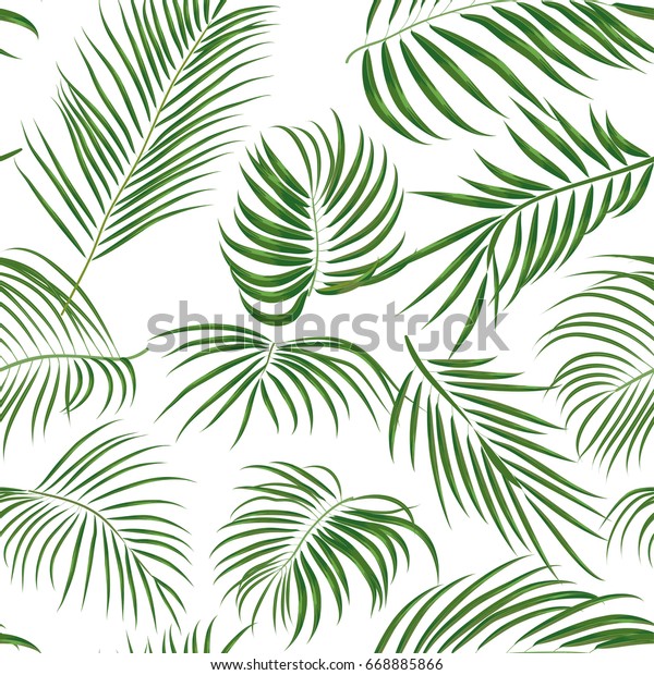 白い背景にシームレスな手描きの熱帯のパターンとヤシの葉 ジャングル風のエキゾチックな葉 ファッションの織物 夏の花柄の壁紙 ベクターイラスト 植物図 のベクター画像素材 ロイヤリティフリー