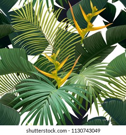 Seamless hand drawn tropical vector pattern with bird of paradise flowers and exotic palm leaves on white background. Vector illustration.