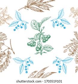 Seamless hand drawn vector forest branches pattern.