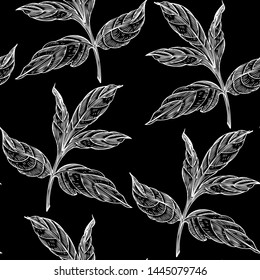 Seamless hand drawn vintage pattern with detailed leaf branches on black background. Black and white graphic decoration for paper, textile, wrapping decoration, scrap-booking, t-shirt, cards.