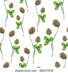 Seamless herbal background with flower of clover. Hand drawn vector illustration.