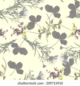 Seamless herbal background, vector illustration. Herbarium dried plants theme.