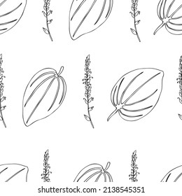 Seamless herbal pattern Great plantain, line art Plantago major medicinal plant wild field flower isolated on white background, hand drawn vector outline illustration texture for design package tea