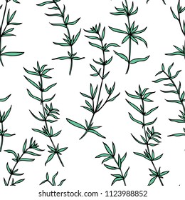 Seamless herbal pattern Savory hand drawn vector botanical illustration, health medical plants and herbs isolated on white background, texture spices for design kitchen, menu, natural organic product
