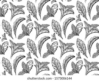 Seamless herbal pattern with stevia and peppermint plants. Nature and naturalness. Hand drawn background with strokes. Vector sketch texture for wallpapers, backgrounds, menus and your design.